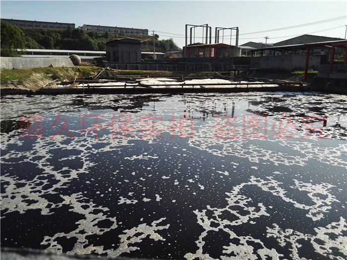 福建某大型養(yǎng)殖企業(yè)廢水處理區(qū)